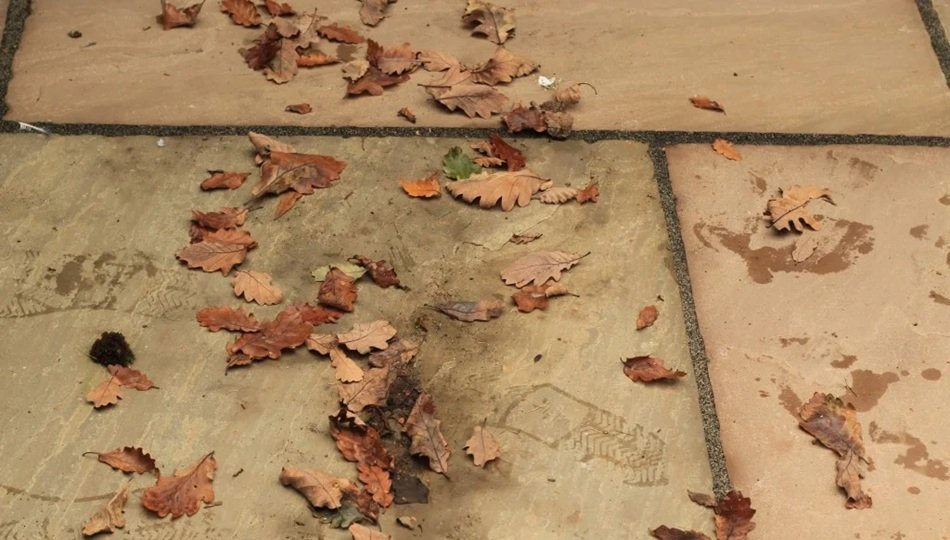 Darlington Landscaper - Landscaping & Driveways Services